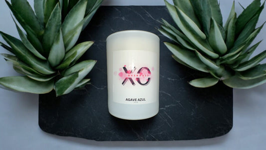 Agave Azul Candle 13.5 oz